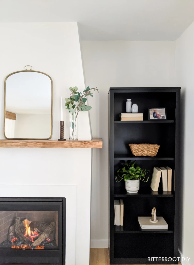 Modern Traditional Small Living Room