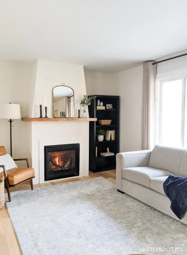 Modern Traditional Small Living Room