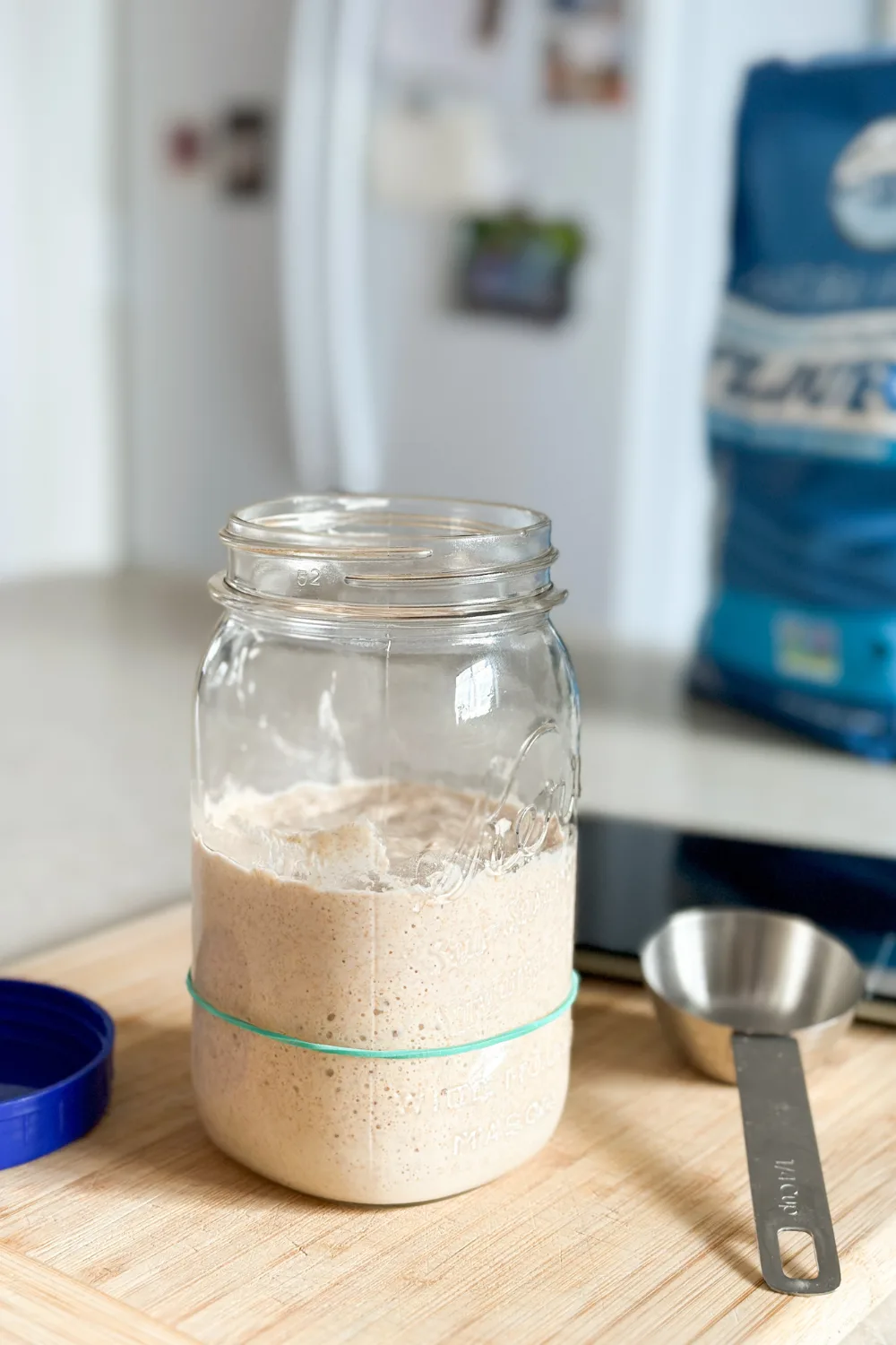 beginner sourdough starter recipe