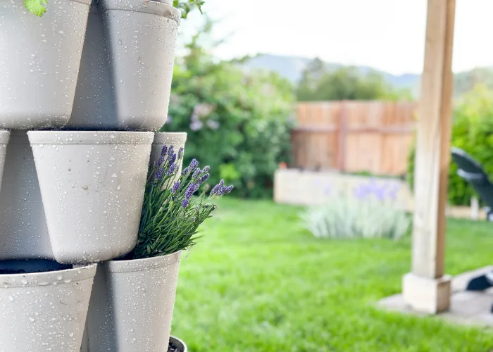 GreenStalk Vertical Gardens