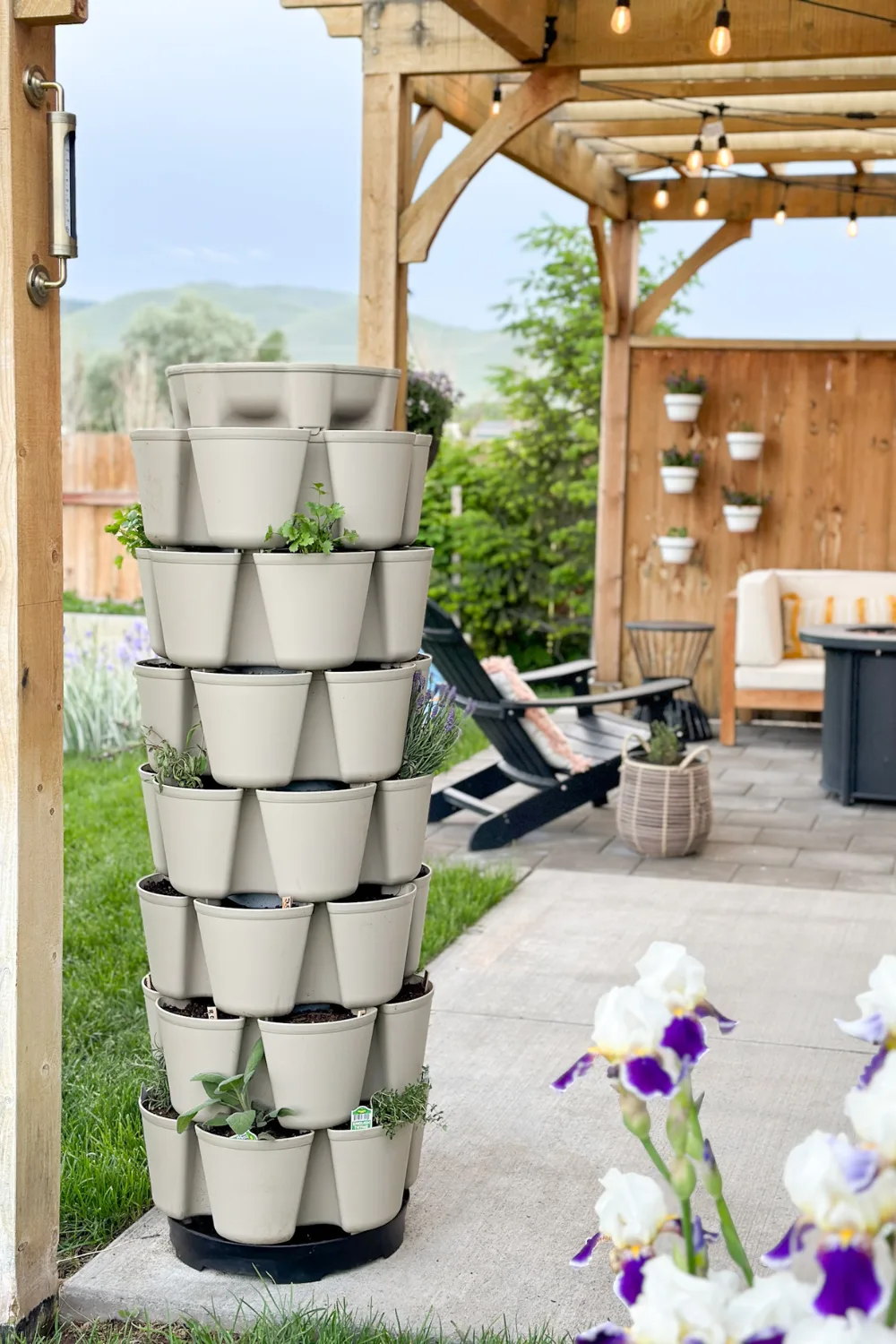 Vertical Gardening with a Greenstalk Planter | Tylynn M