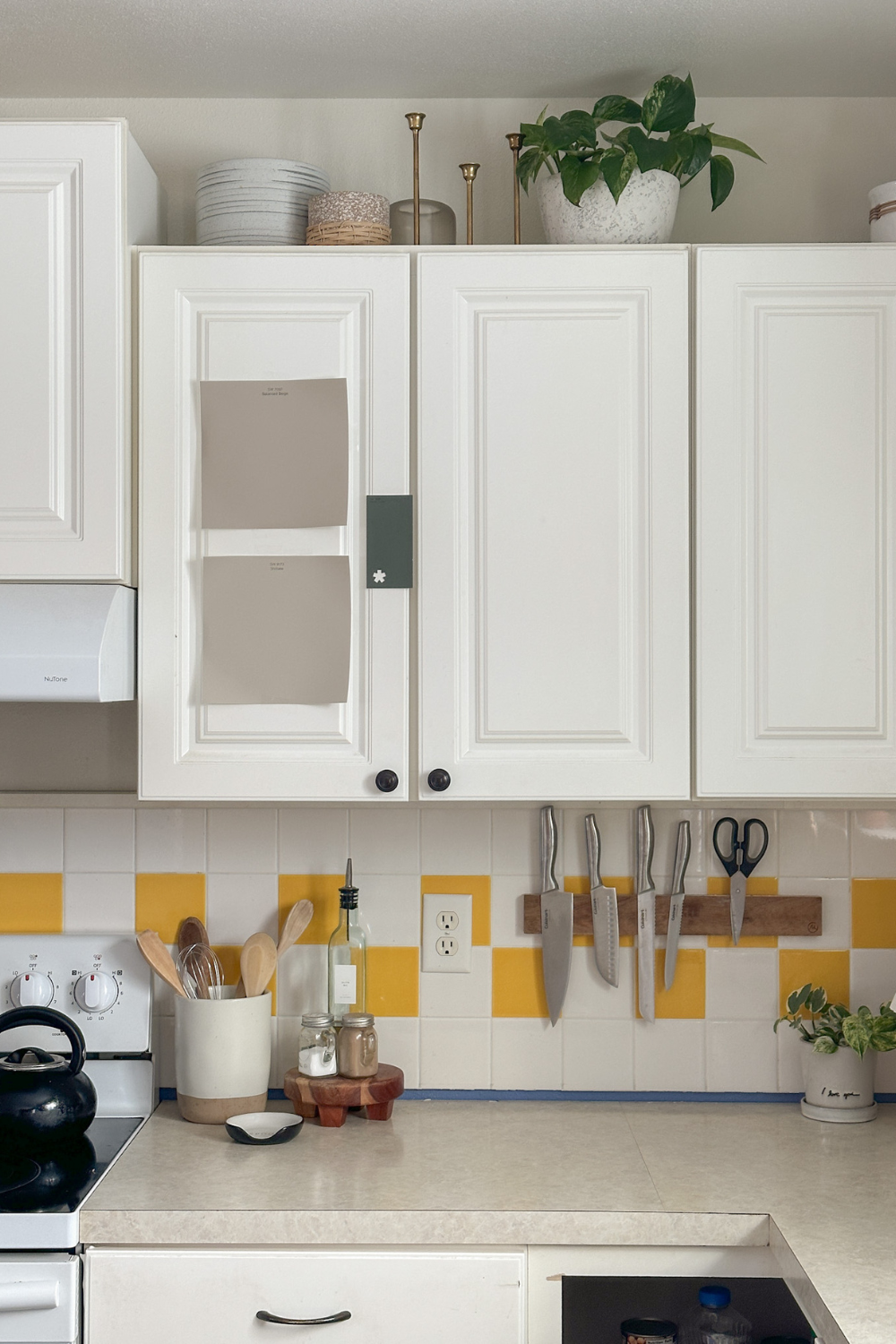 How to Choose a Kitchen Cabinet Color