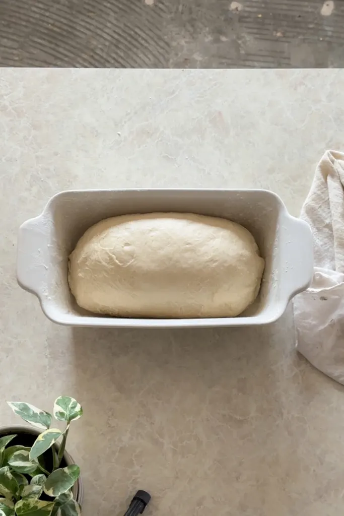 Soft Sourdough Sandwich Bread Recipe_step 8